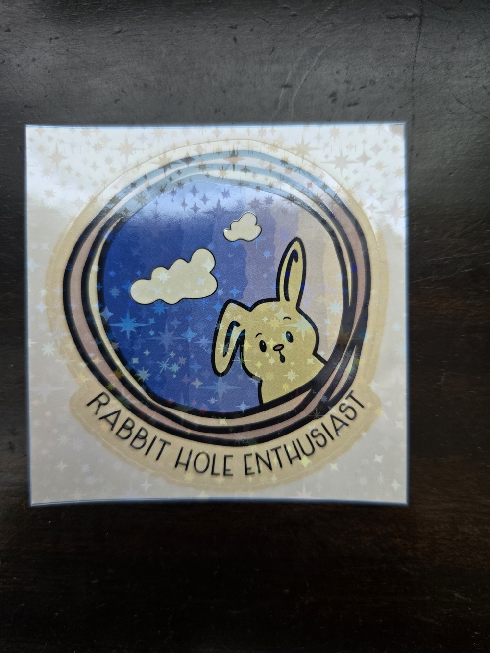 STICKER- Rabbit Hole Enthusiast